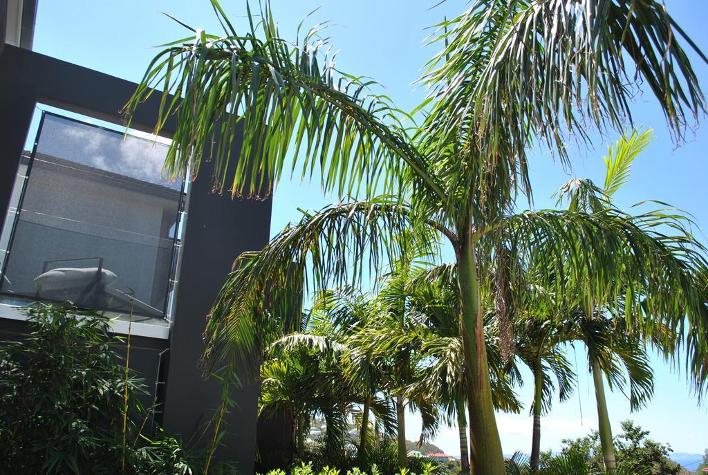 Reve De St. Barth Aparthotel Gustavia Kültér fotó